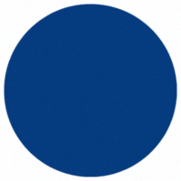 Elizabeth Warren, Amy Klobuchar, Bernie Sanders, Jamie Raskin, Chuck Schumer, Cory Booker