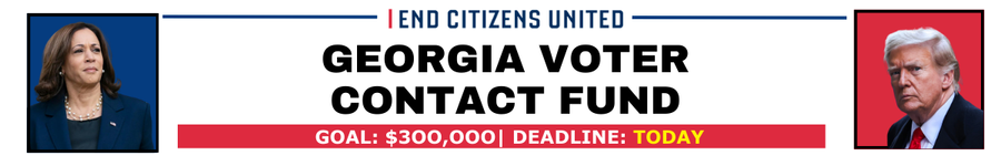 GEORGIA VOTER CONTACT