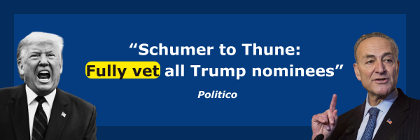 Schumer to Thune: Fully vet all Trump nominees